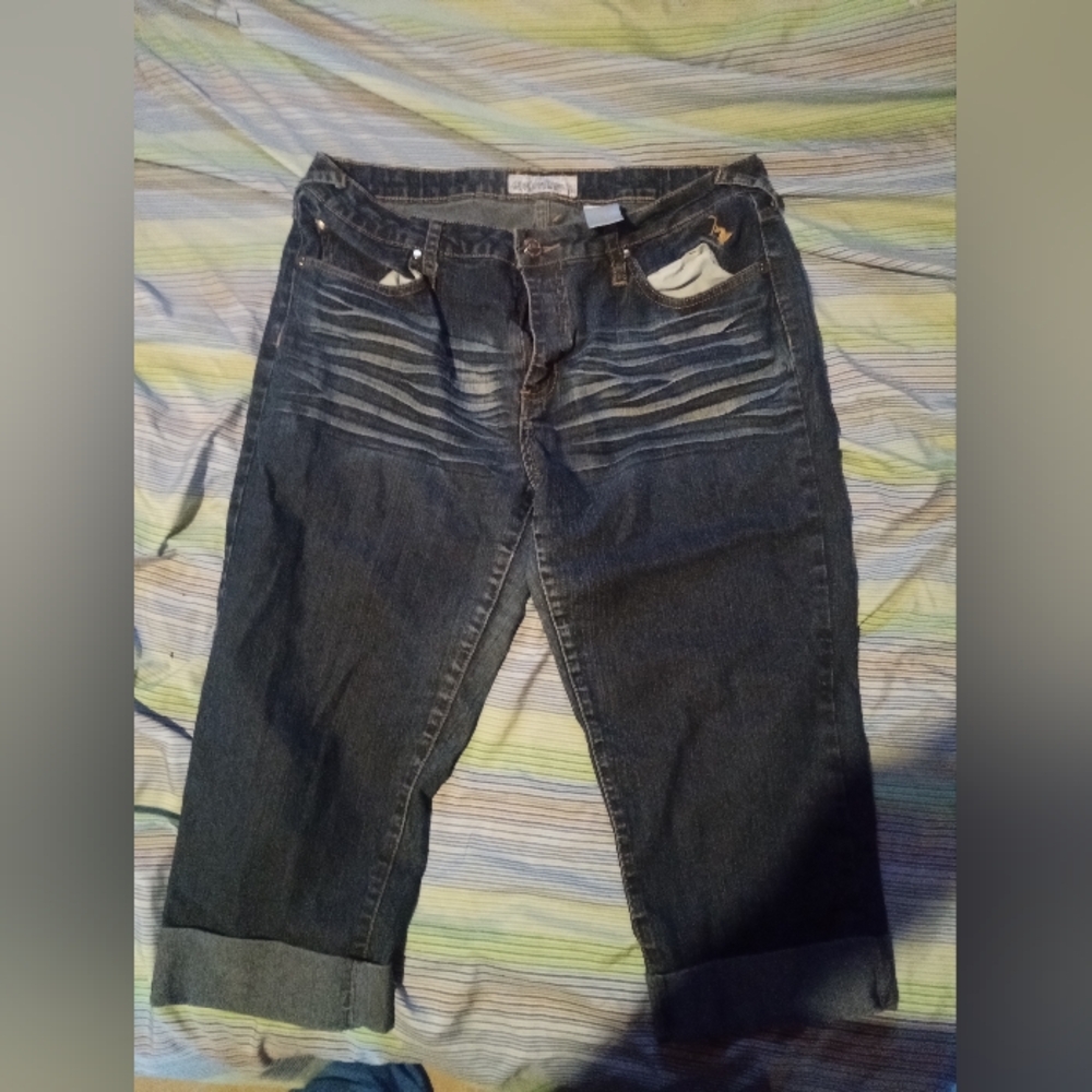 Baby phat women's capris